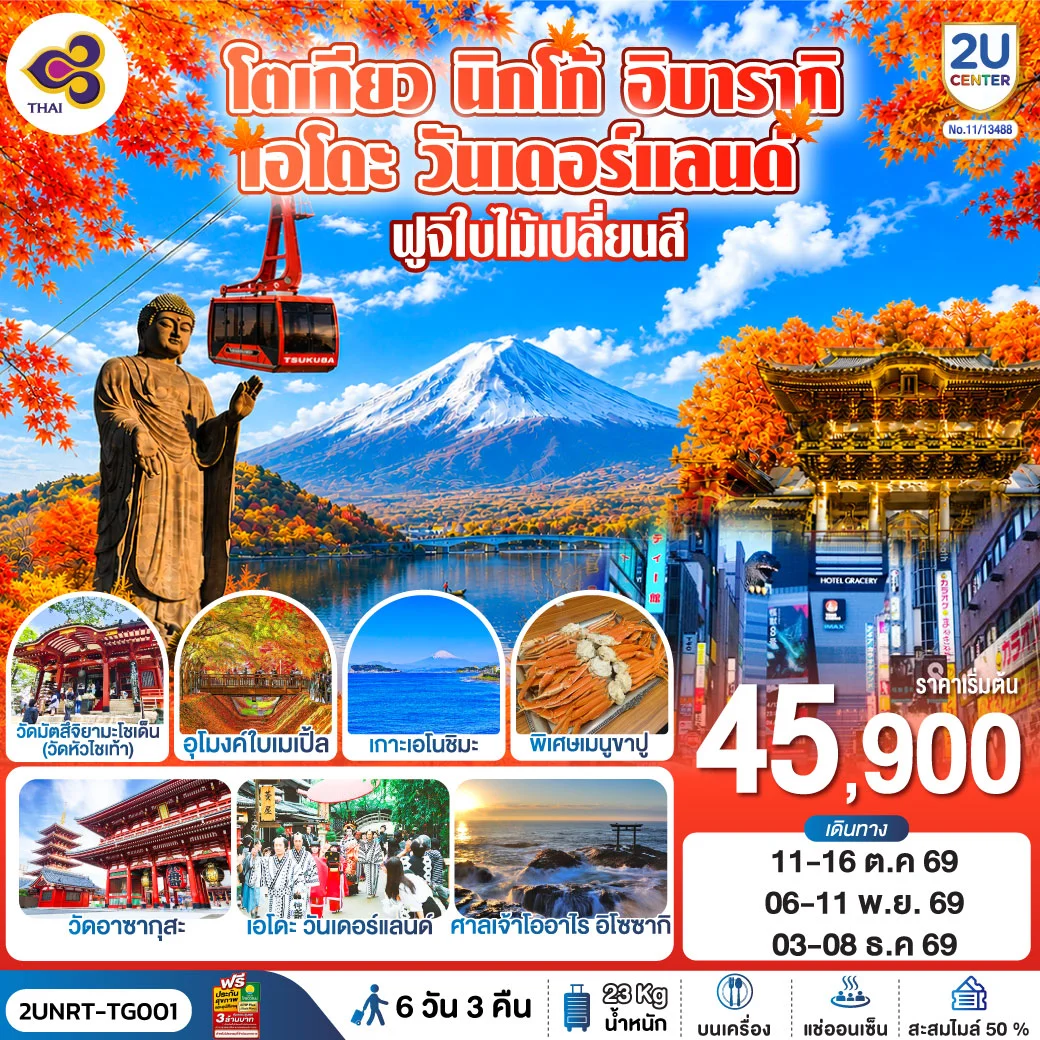 ทัวร์ญี่ปุ่น โตเกียว นิกโก้ เอโดะ วันเดอร์แลนด์  ฟูจิเปลี่ยนสี 6วัน 3คืน  (TG)