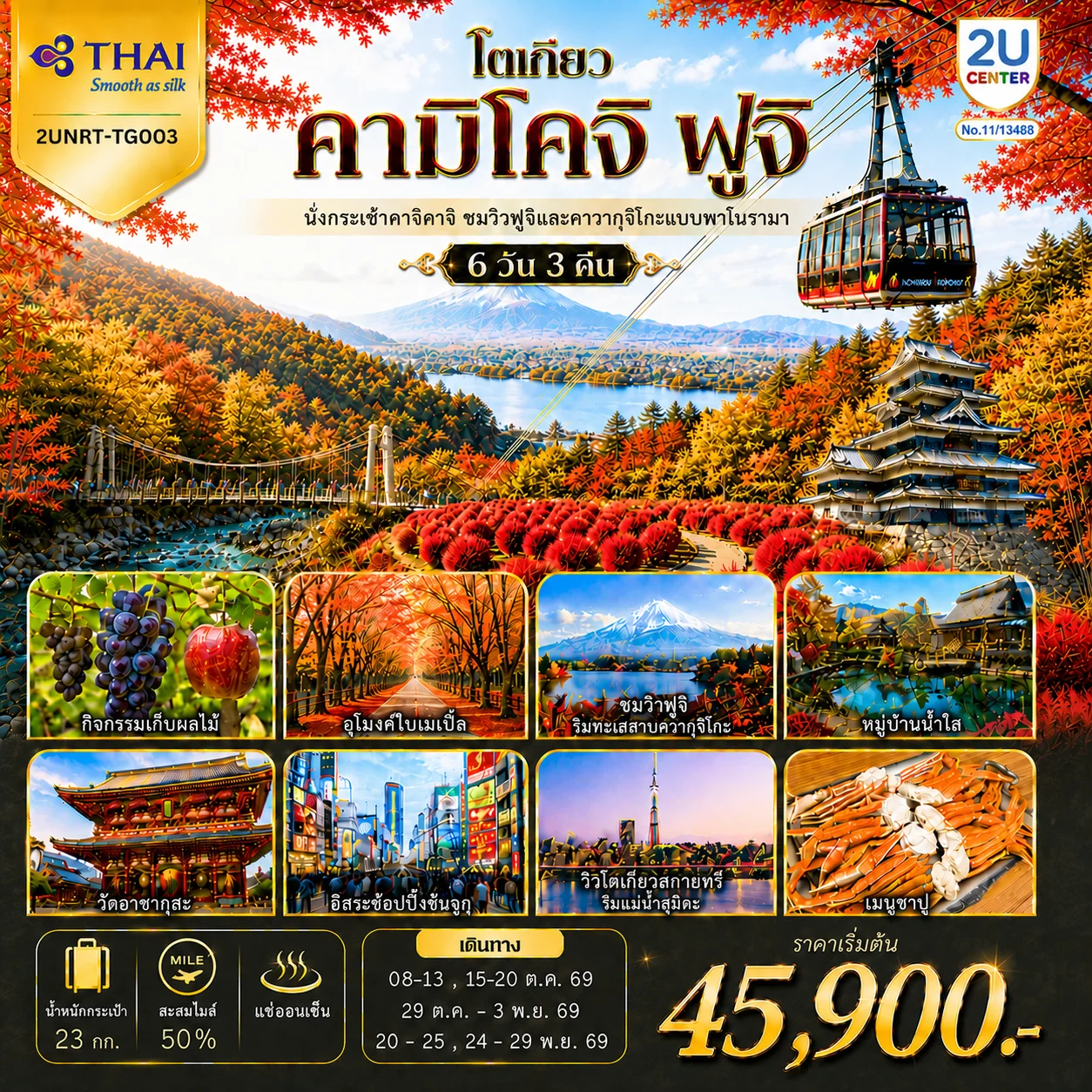 ทัวร์ญี่ปุ่น โตเกียว คามิโคจิ ฟูจิ นั่งกระเช้าคาจิคาจิ AUTUMN FULL BLOOM 6วัน 3คืน (TG)